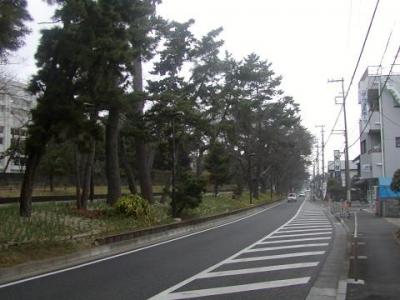 東海道を歩いてみました   茅ヶ崎・平塚・大磯