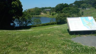 佐賀県 イカ に関する旅行記 ブログ フォートラベル