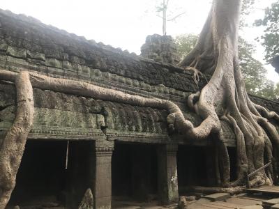 雨の中のタプローム寺院
