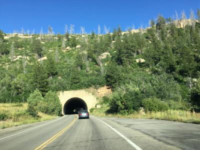 コロラド州 メサ ベルデ 国立公園　－　メサ トップ ルーインズ ロード