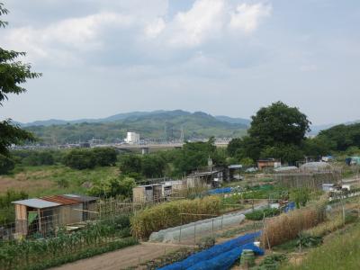 木津 木津川CR 泉大橋まで(Kizugawa Cycling Road, Kizu, Kyoto, JP)