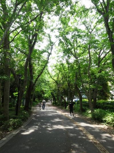 ２ヶ月を過ごした緑いっぱいのつくばを思い出探訪【親子で東京往復記2020年５月編その2】