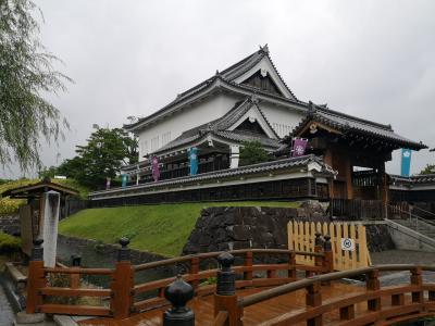 雨の勝竜寺城 (明智光秀 天王山の戦いの際の本拠地)