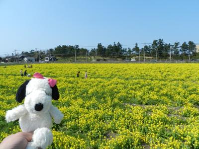 糸島をめぐる（雷山観音・浮岳茶寮でのランチ・菜の花畑など）◆2018年春／旅仲間と行く長崎・博多・糸島《その１０》