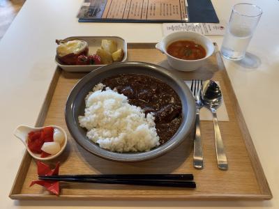 飛行機には乗れないけれどブラっと成田に行ってみた　後編