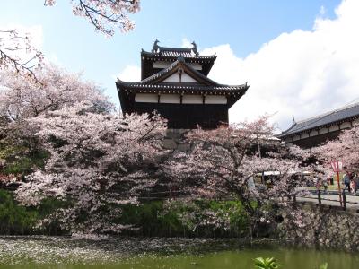 ステイホームして過去の旅行を振り返る⑤～郡山城の桜～