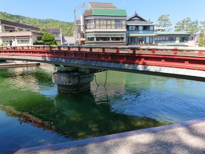 晴天の天橋立 親子旅 