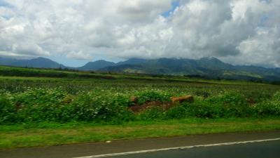 大好きハワイ2日目