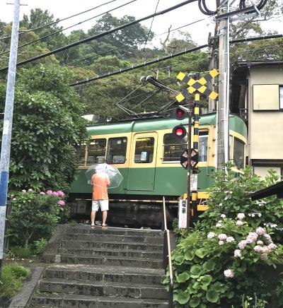 午後から雨の紫陽花咲く江ノ電途中下車・４時間ツアー編