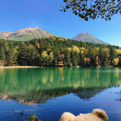 【絶景】オンネトー湖　阿寒富士 雌阿寒岳 【日本百名山】 北海道 lake Onneto Japan Hokkado