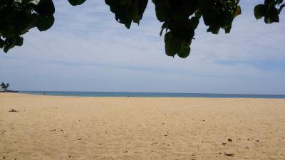 大好きハワイ4日目