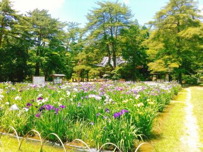 黄金花咲く理想郷、平泉を廻って来ました(毛越寺編)