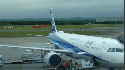 緊急事態宣言解除！初搭乗ＡＮＡ Ａ３２１ＮＥＯ！千歳⇔羽田でレビュー＆ホテルに泊まってマイル修行！(#^^#)♪