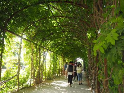 2019.8 オーストリア旅行記14 ~シェーンブルンの休日~
