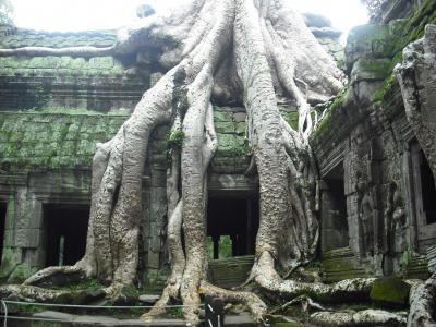 カンボジア、シェムリアップでの思い出