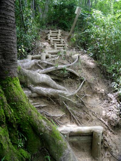 【近郊46】都立長沼公園を歩く　長泉寺尾根道から井戸たわ尾根道へ　庚申塚が残る