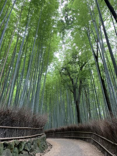 いいタイミングの京都、嵐山散策。前編