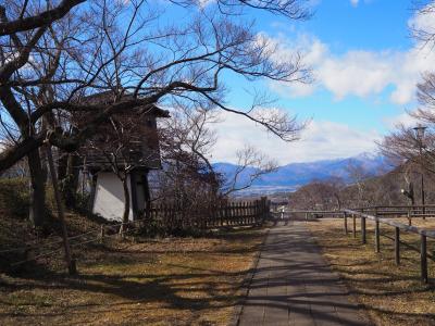 2020如月　長野県の日本百名城5城を一気に巡る　①全然桜咲いてないのに高速バス使って行ってしまった高遠城