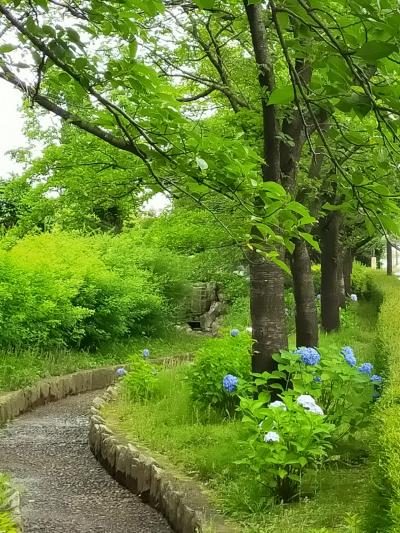 菖蒲せせらぎ園 