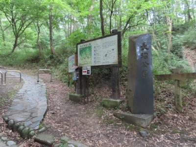 Pottering & climbing　長沼公園 八王子 2020/06/03