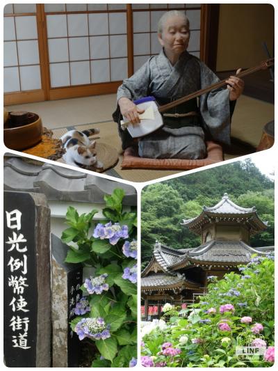 太平山の紫陽花＆日光例幣使街道の宿場町栃木市☆☆