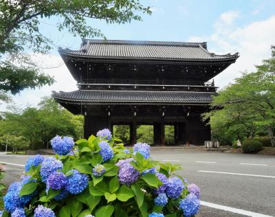 根來寺の多宝塔は凄かった