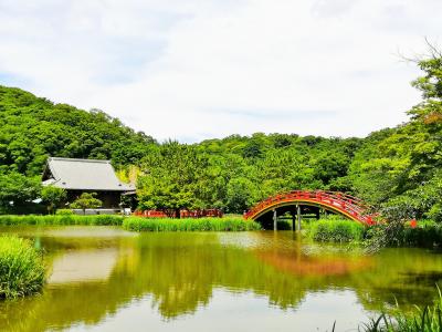 金沢文庫  称名寺 * 海の公園を散歩