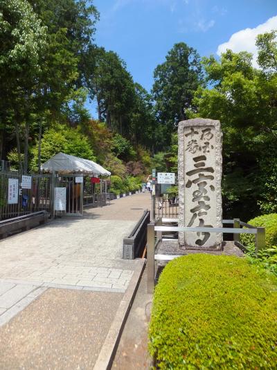 新型コロナウイルスの影響で久しぶりのプチ旅行！今回は三室戸寺にやってきました！