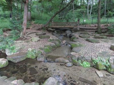 黒川清流公園 日野 2020/06/20