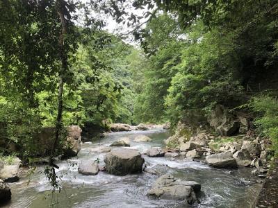 大阪高槻　摂津峡散策　久々のハイキング