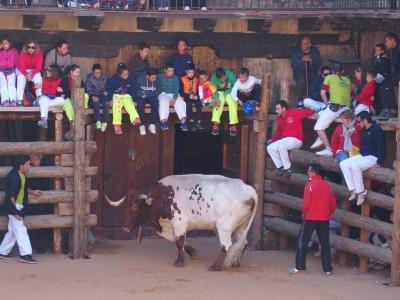 2016年 スペインの想い出 1 +ミディ・ピレネー地方