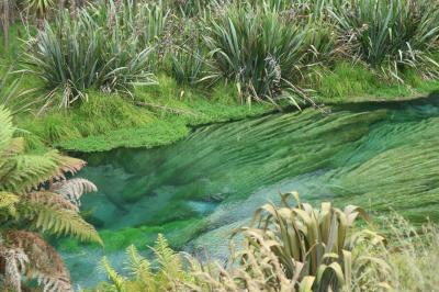 3度目のNZは北島！車なし母娘旅②ミネラルウォーターの泉