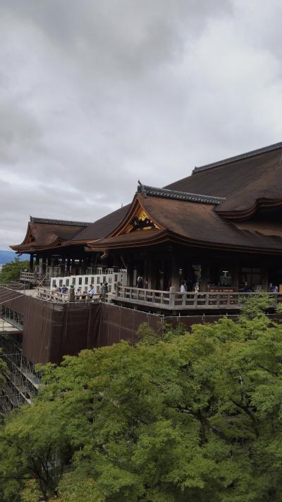 梅雨の京都、定例のお墓参りと大阪も楽しむ旅１