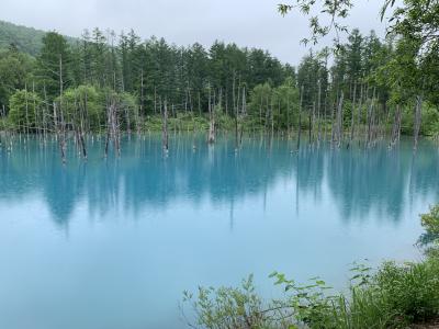 感動の北海道一人旅