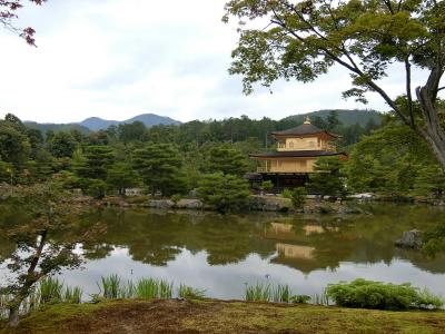 コロナ自粛明けの静かな京都へ（金閣寺、北野天満宮、三室戸寺、平等院など）泊りはしょうざんリゾート京都鷹峯です