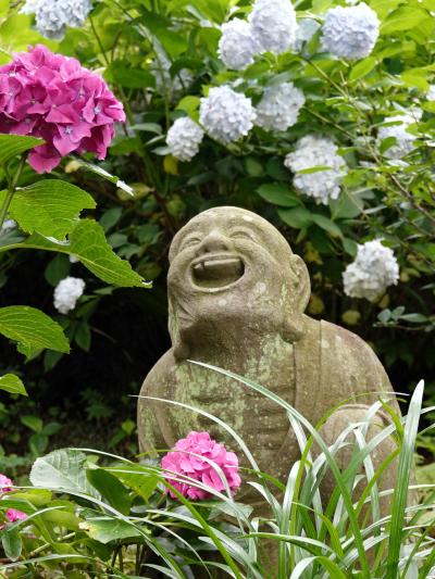 あじさい寺を訪ねて（柿生浄慶寺）