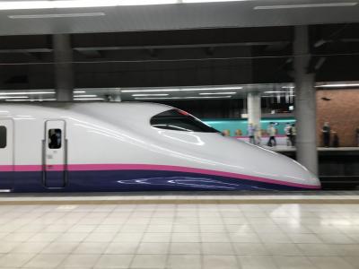 上越新幹線で新潟日帰り