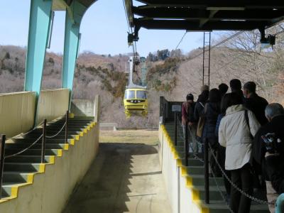 長瀞の臘梅が見頃の宝登山へロープウエイでいざ出発