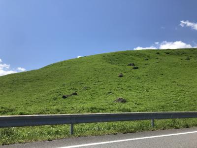 久しぶりの温泉