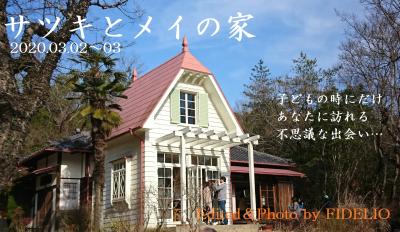 2019春　愛知・名古屋野球観戦記　〈第１幕〉【１日目：となりのトトロ編】