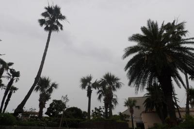 ステージ21の植栽（横浜市磯子区）