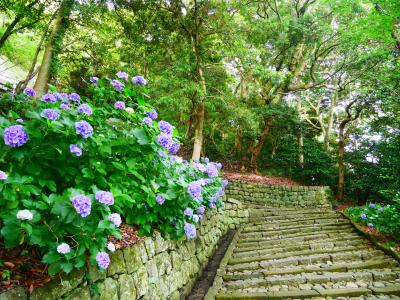 梅雨の中富士山を拝みに山梨・静岡へ③　～世界遺産・史跡とおいしい魚を満喫～