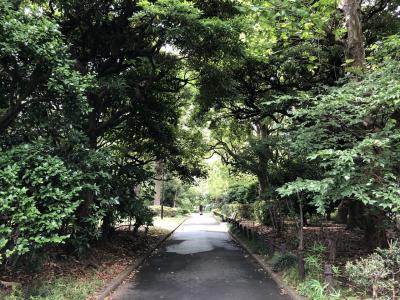 東京散歩と美術鑑賞