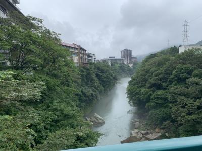 格安チケット駆使＊お安く鬼怒川温泉１泊2日＊宿泊費交通費レジャー込み1万２千円くらい