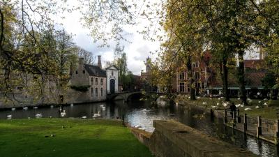 4月・美しいブルージュ、ベルギー・オランダの旅　1