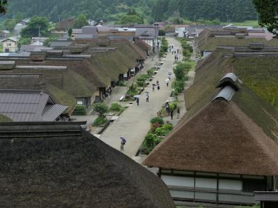 往復1100㎞走って、草刈り