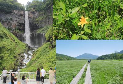 ♪なつが来～れば思い出す～2018年7月・日光→鳩待峠でのんびり避暑の旅～