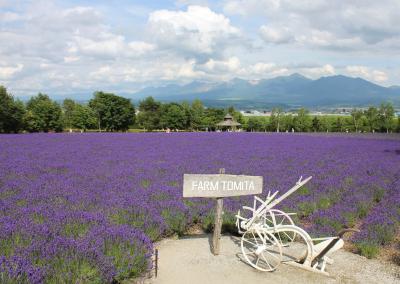 ラベンダーと花畑を楽しむ、富良野から美瑛へ１泊２日の旅（1日目）