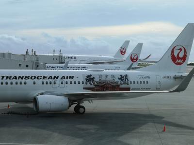 孫との沖縄１日目