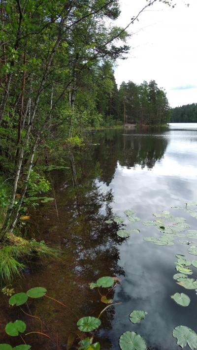 白夜のフィンランド 女子旅 3 ベリーベリーベリー ヌークシオ国立公園